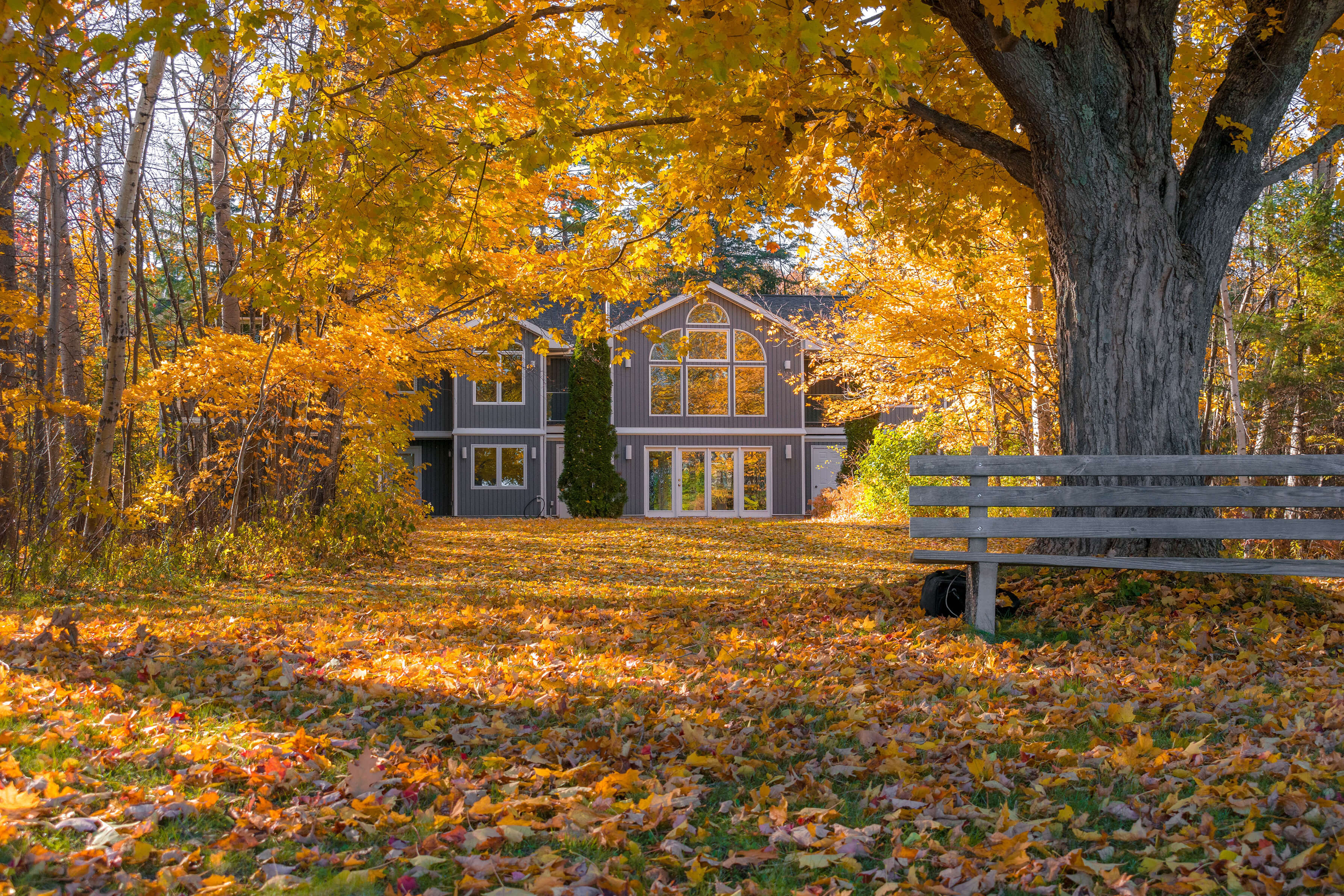 Een huis in de herfst met een boom met gele bladeren.