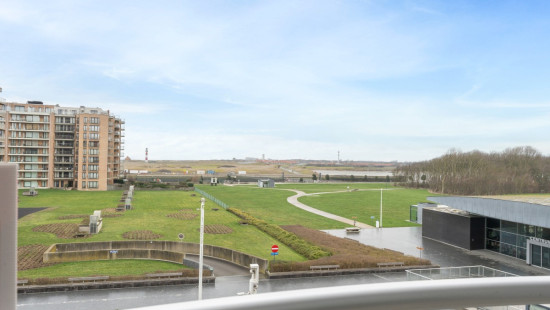 Dienstweg Havengeul - 13 0304 - 't Pand B - 8620