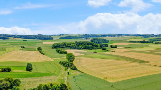 Bredeweg - naast 7 - - 3080
