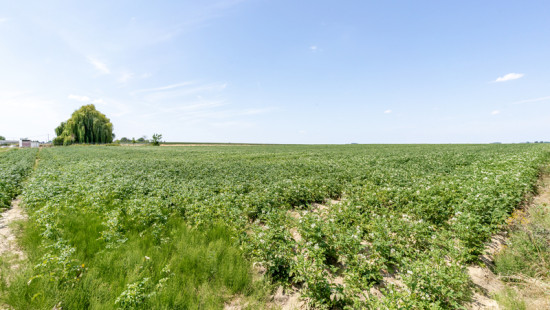 Nederokkerzeelsesteenweg - 3B - - 3071