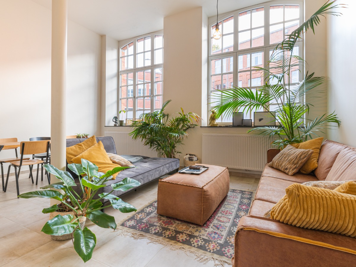 Appartement in Sint-niklaas