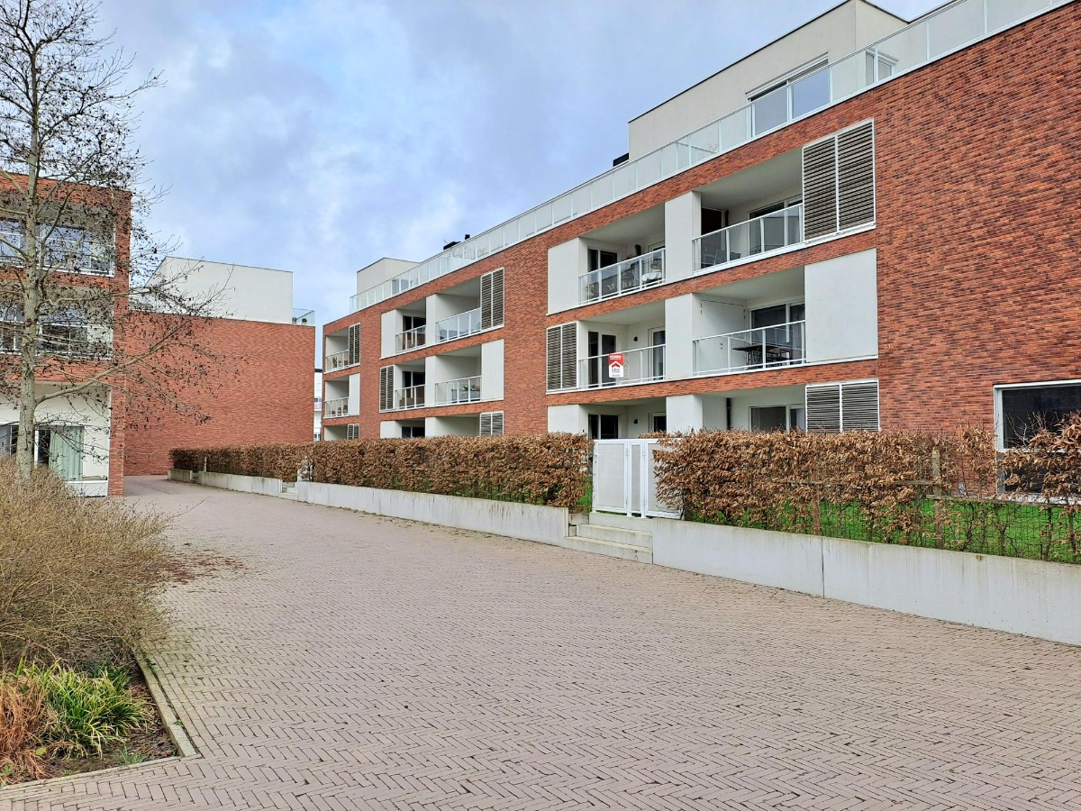 :Woningtype te :Stad