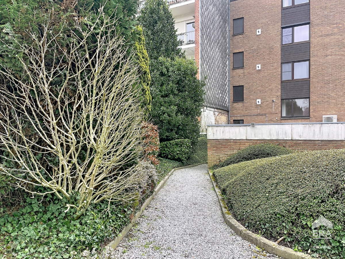 :Woningtype te :Stad