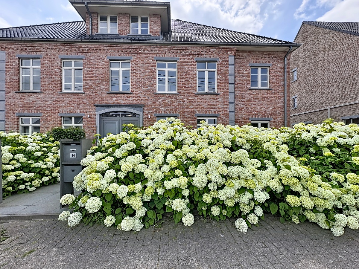 Appartement à Humbeek