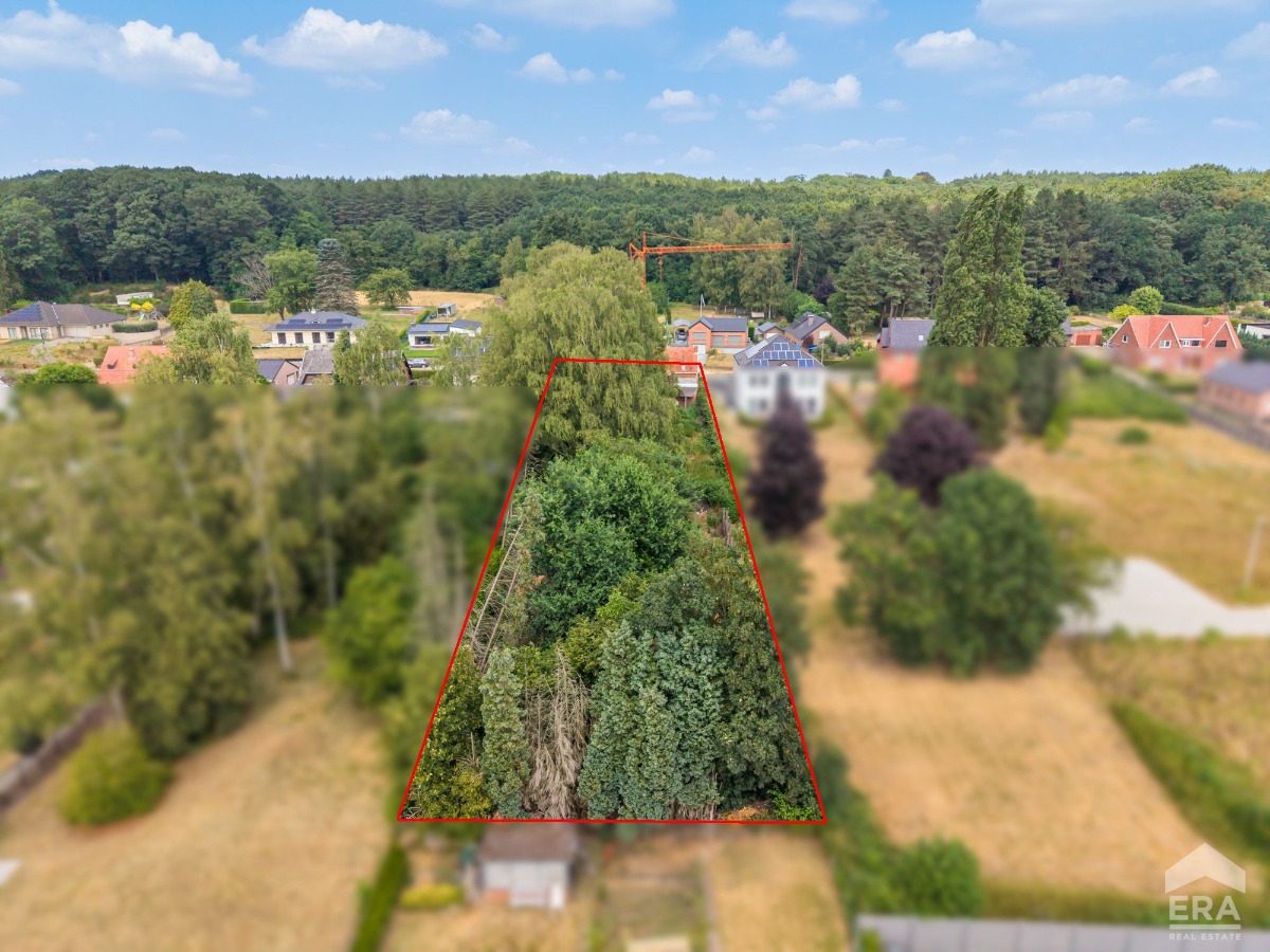 Terrain VENTE à Lummen
