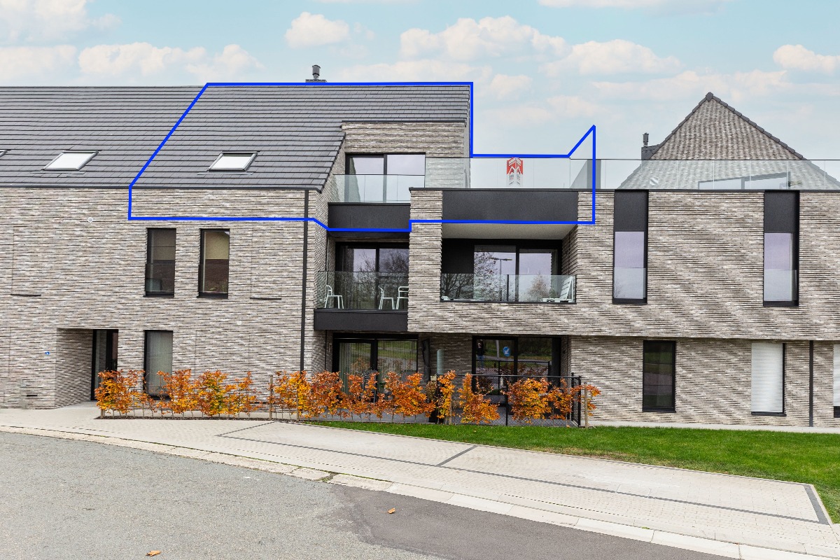 Munsterbilzenstraat - 71 - 2.2 - 3740