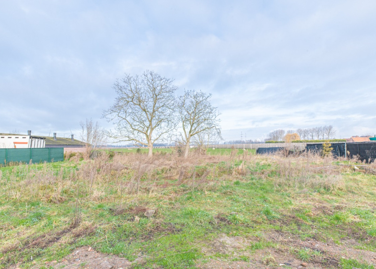 Koolputten Melsele4.jpg
