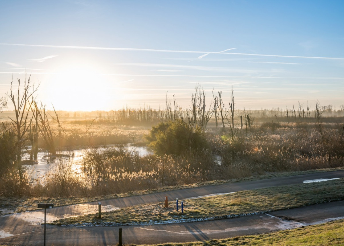 Kruibeke - 4.jpg
