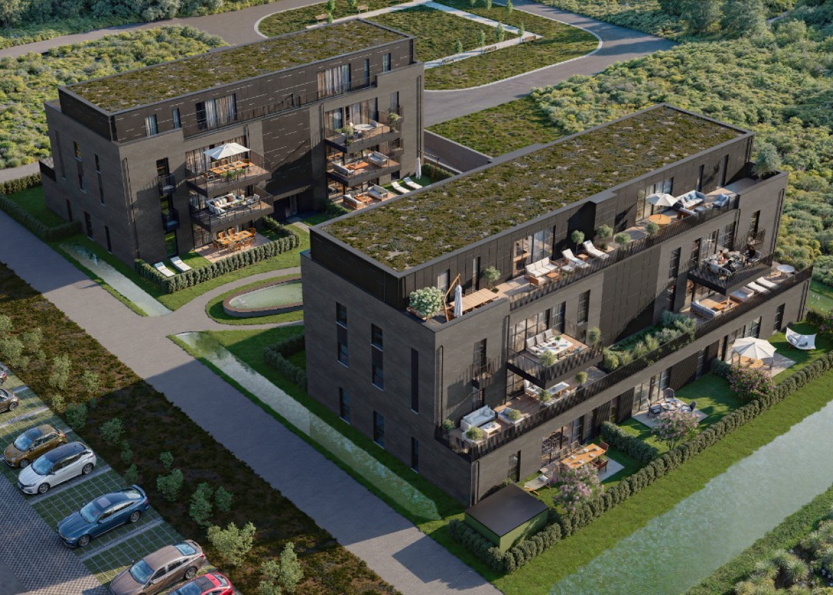 Park-Gijsen_ex_8-min.jpg