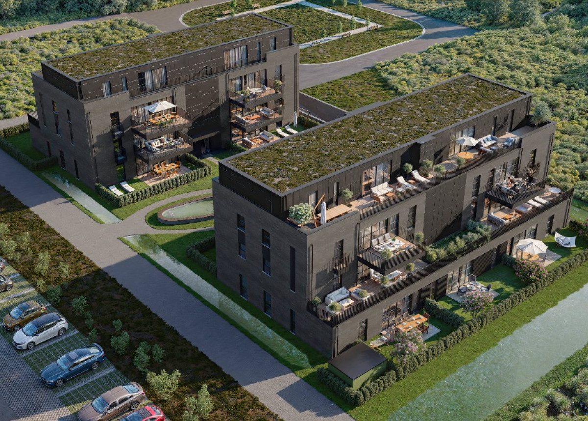 Park-Gijsen_ex_8-min.jpg