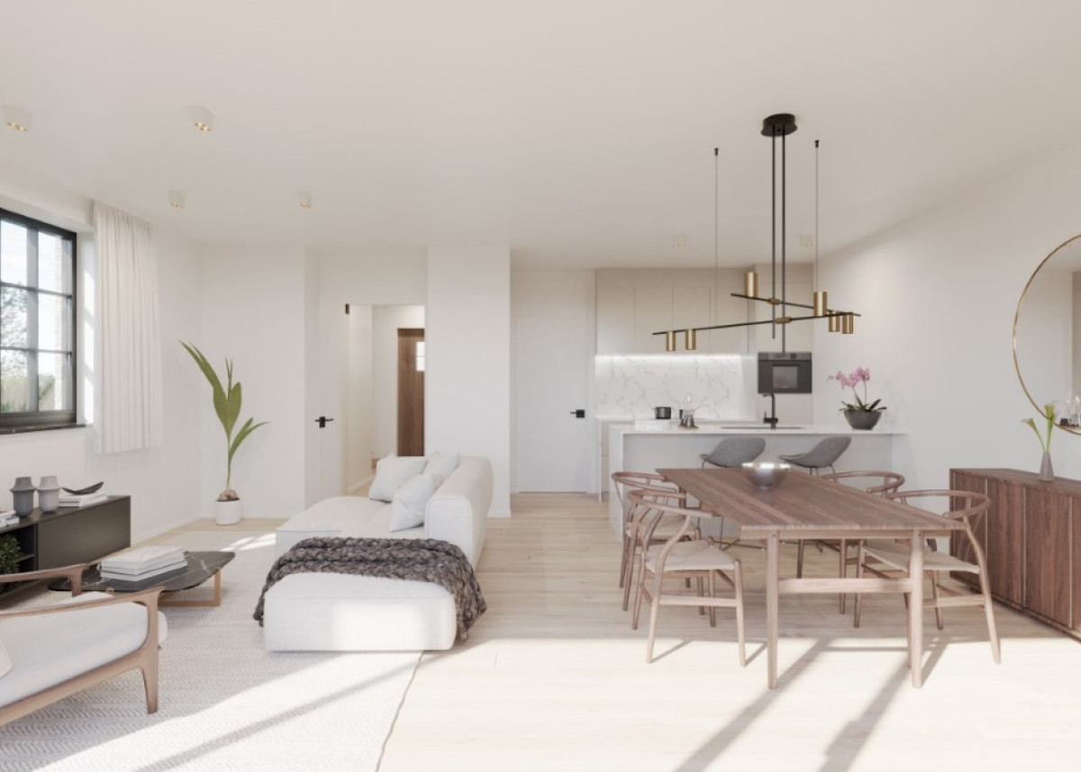 20241107_Mollem_interieur_04.jpg