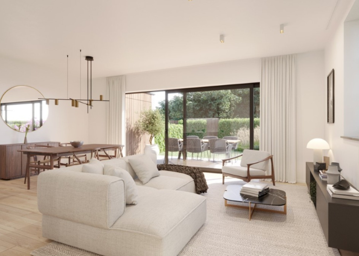 20241107_Mollem_interieur_03.jpg