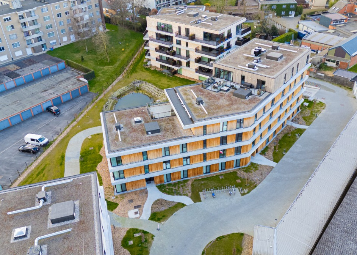 Beveren.jpg