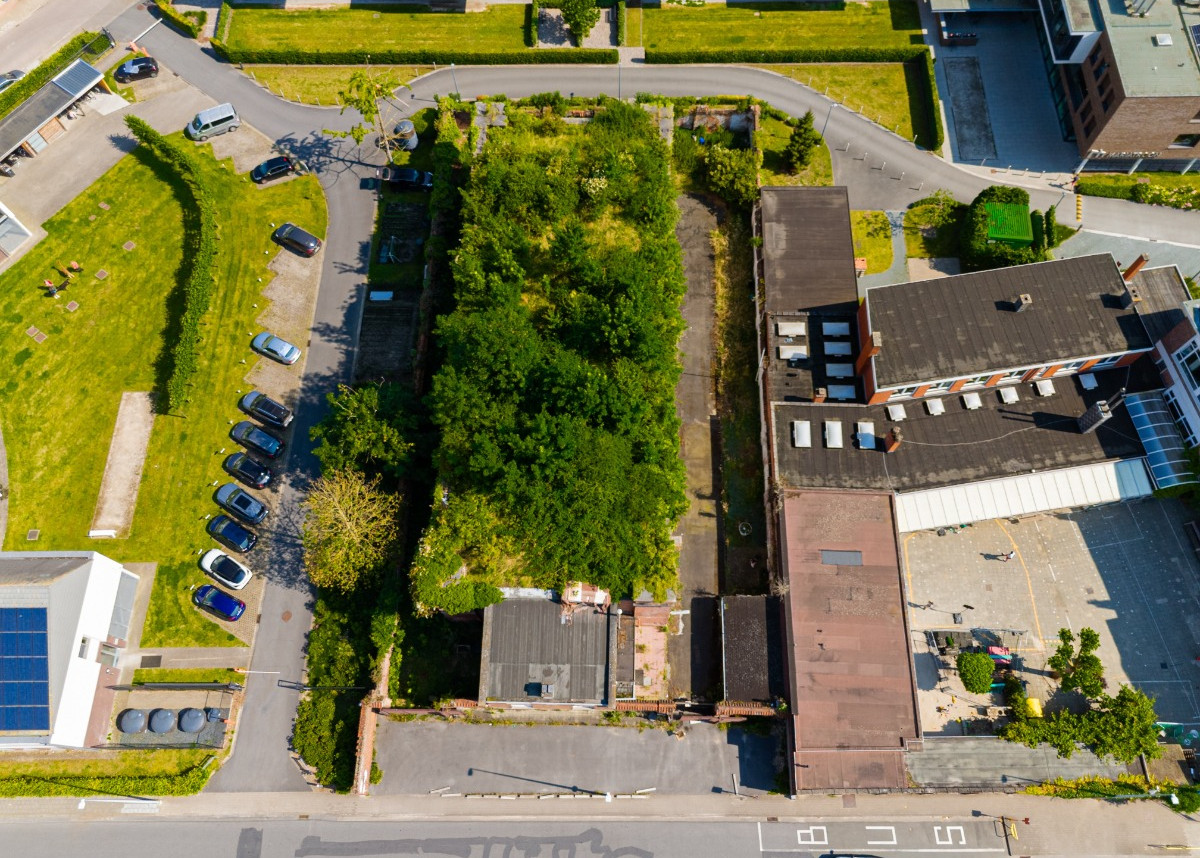Dendermonde-3.jpg