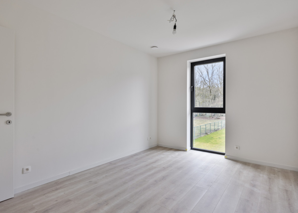 bieweg69Beringen27.jpg