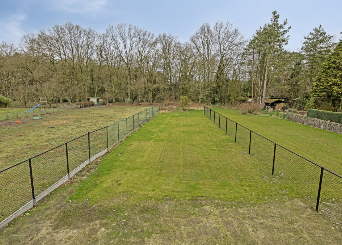 bieweg69Beringen33.jpg
