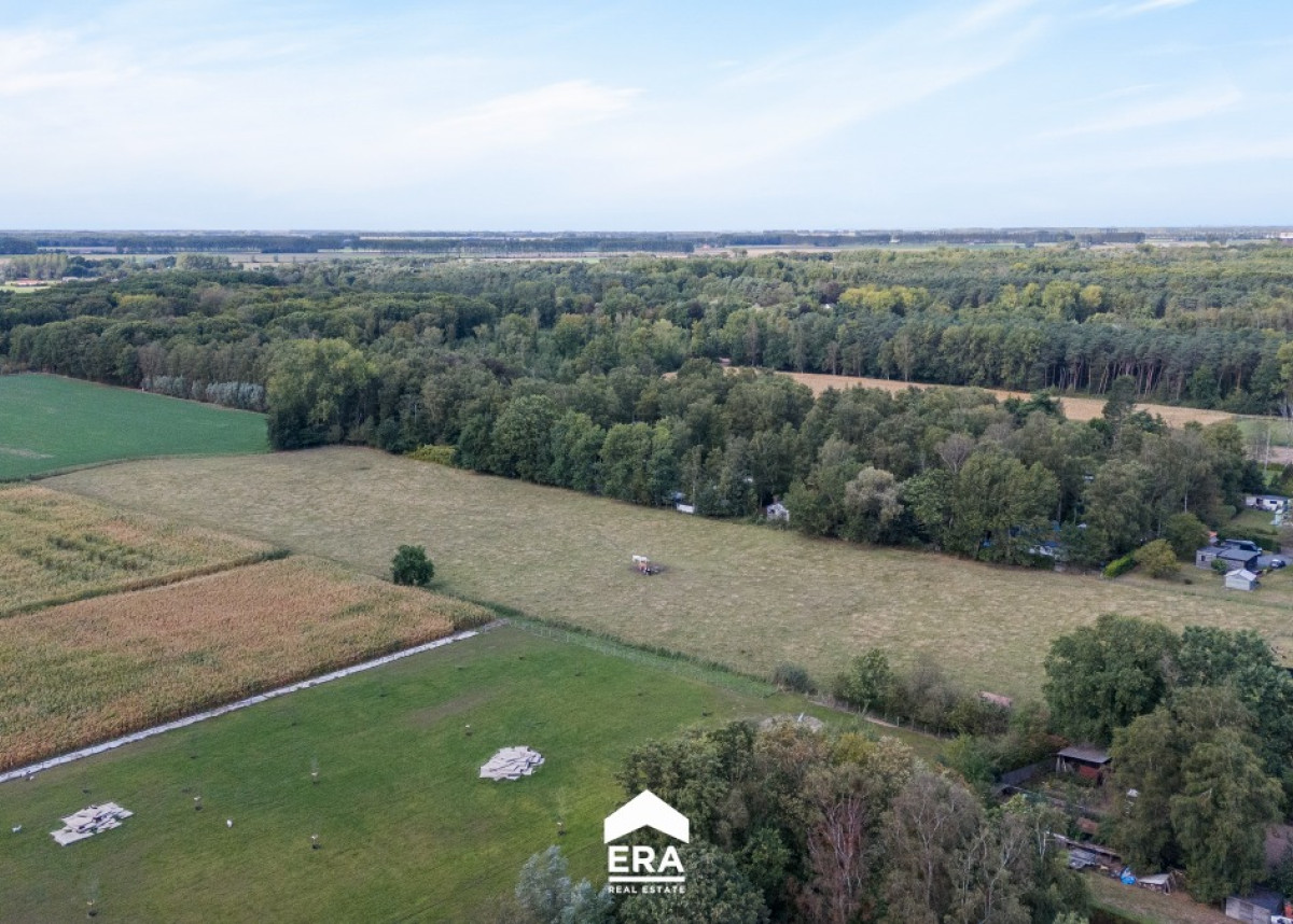 Lange Dweersstraat-6-Stekene - 11.jpg