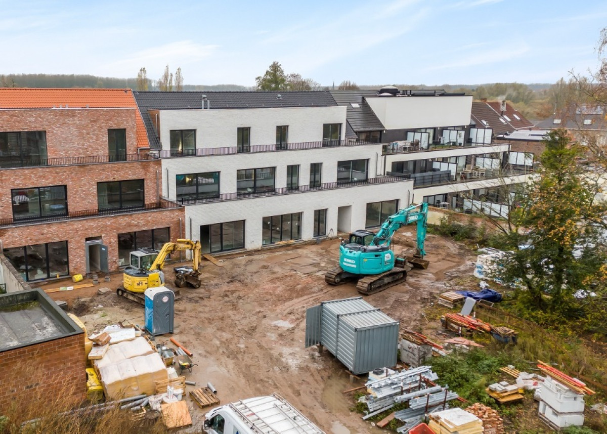 Tuin van Emile - Emile Verhaerenstraat 53, Puurs Sint-Amands - 06.jpg