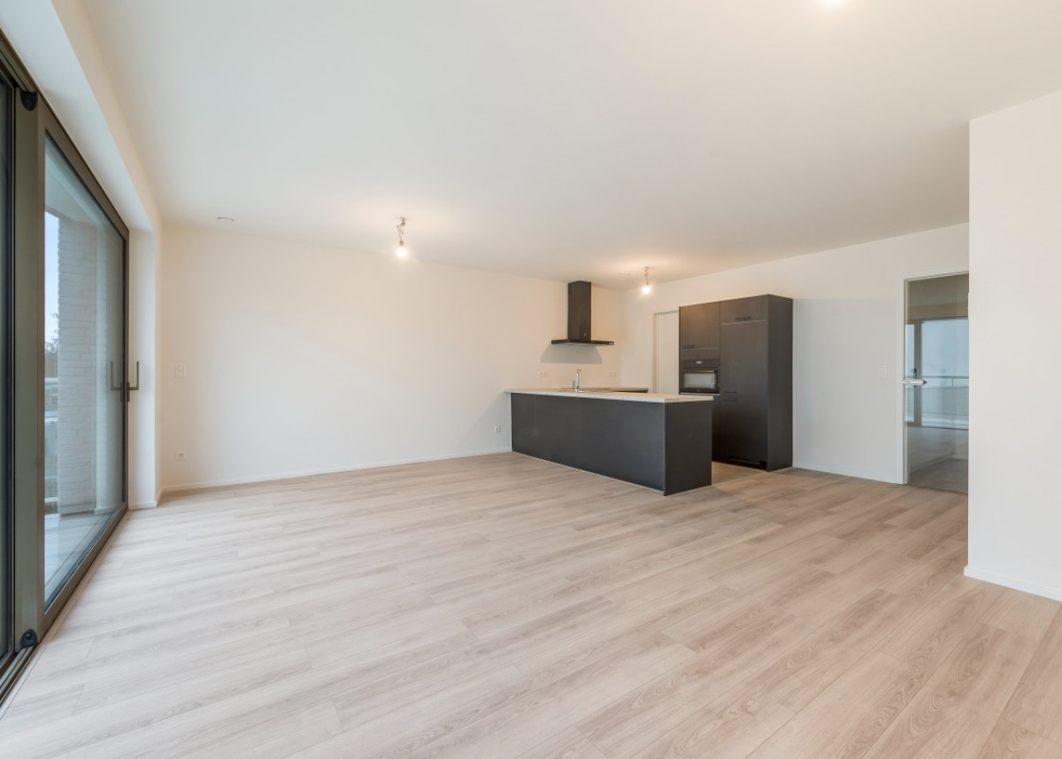 Blaasveld - Mechelsesteenweg 284-288, Willebroek - 204 - 01.jpg