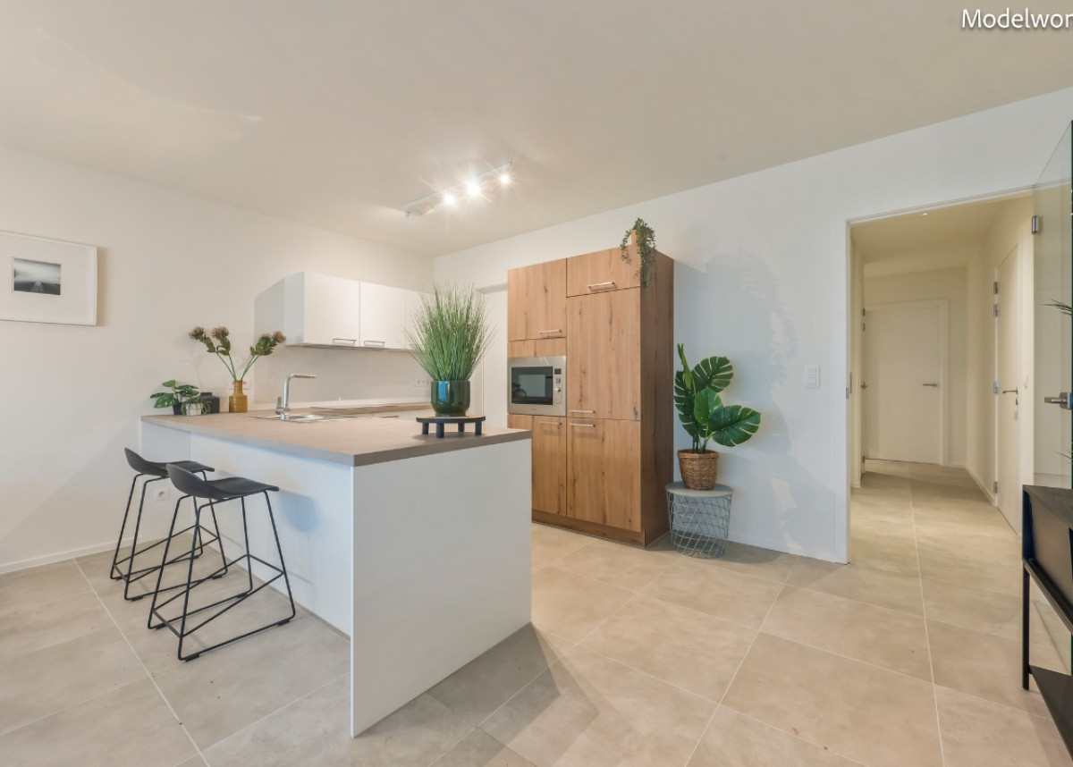 Blaasveld - Mechelsesteenweg 284-288, Willebroek - A04 - 07.jpg