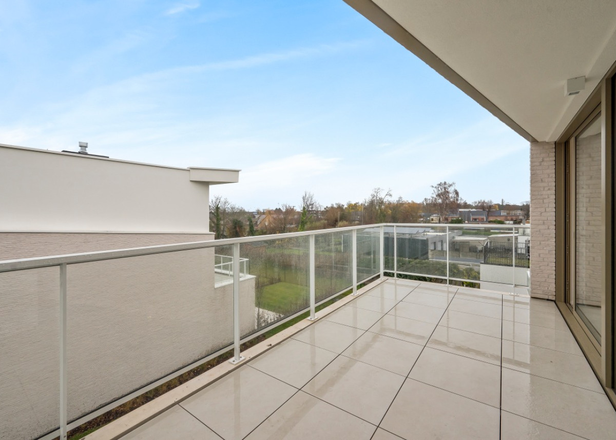 Blaasveld - Mechelsesteenweg 284-288, Willebroek - 204 - 11.jpg