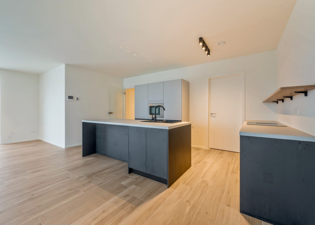 Blaasveld - Mechelsesteenweg 284-288, Willebroek - 205 - 03.jpg