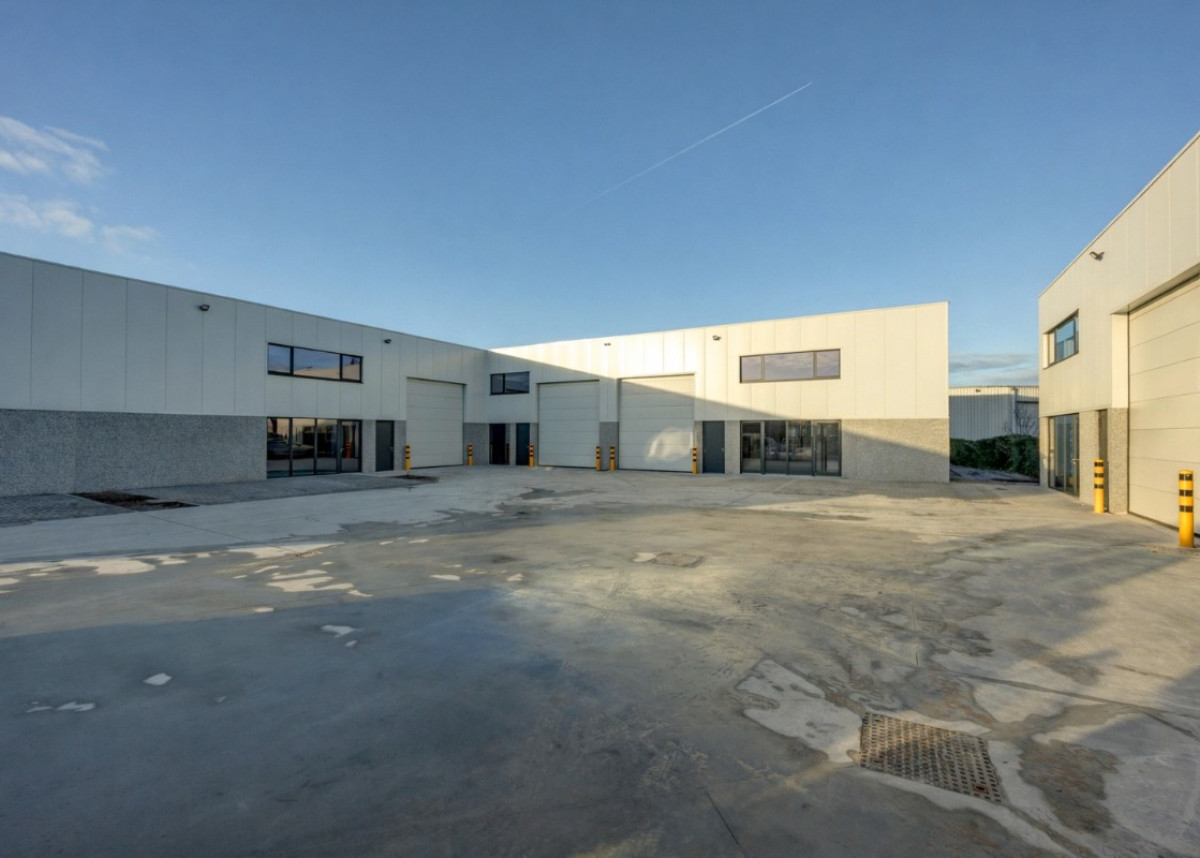 ChatGPT Image Jan 5, 2026, 10_41_22 AM.jpg