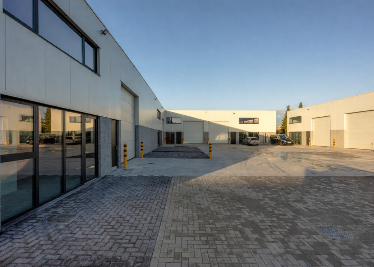 ChatGPT Image Jan 5, 2026, 10_36_37 AM.jpg