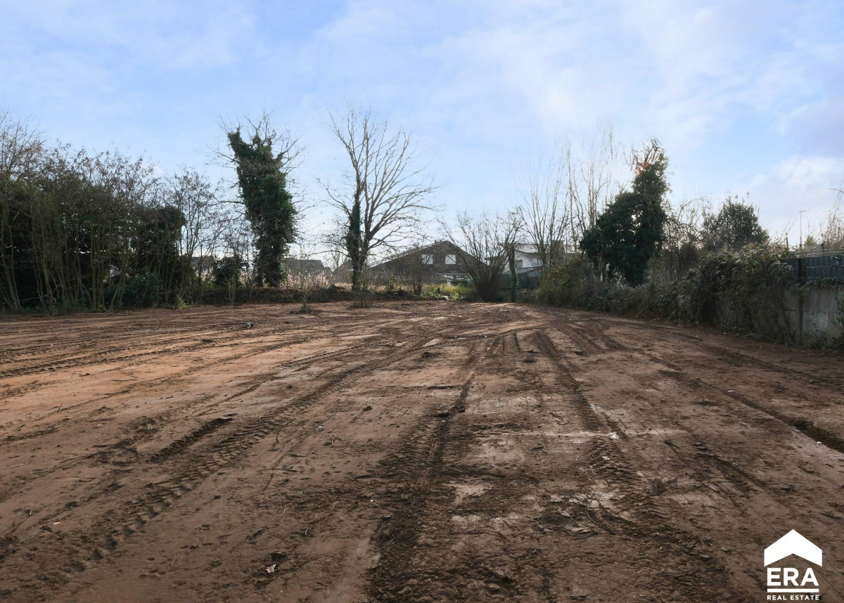 Woning verkopen - Heusden Zolder - ERA Nobis - Immo(10).jpg