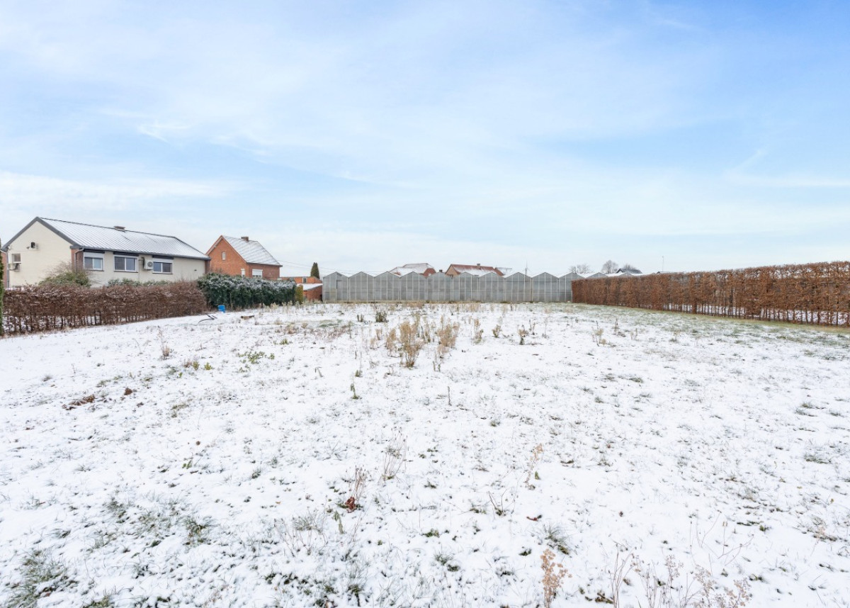 20260106 - SZ - Biesemstraat 59-59A, 3450 Geetbets - 1.jpg