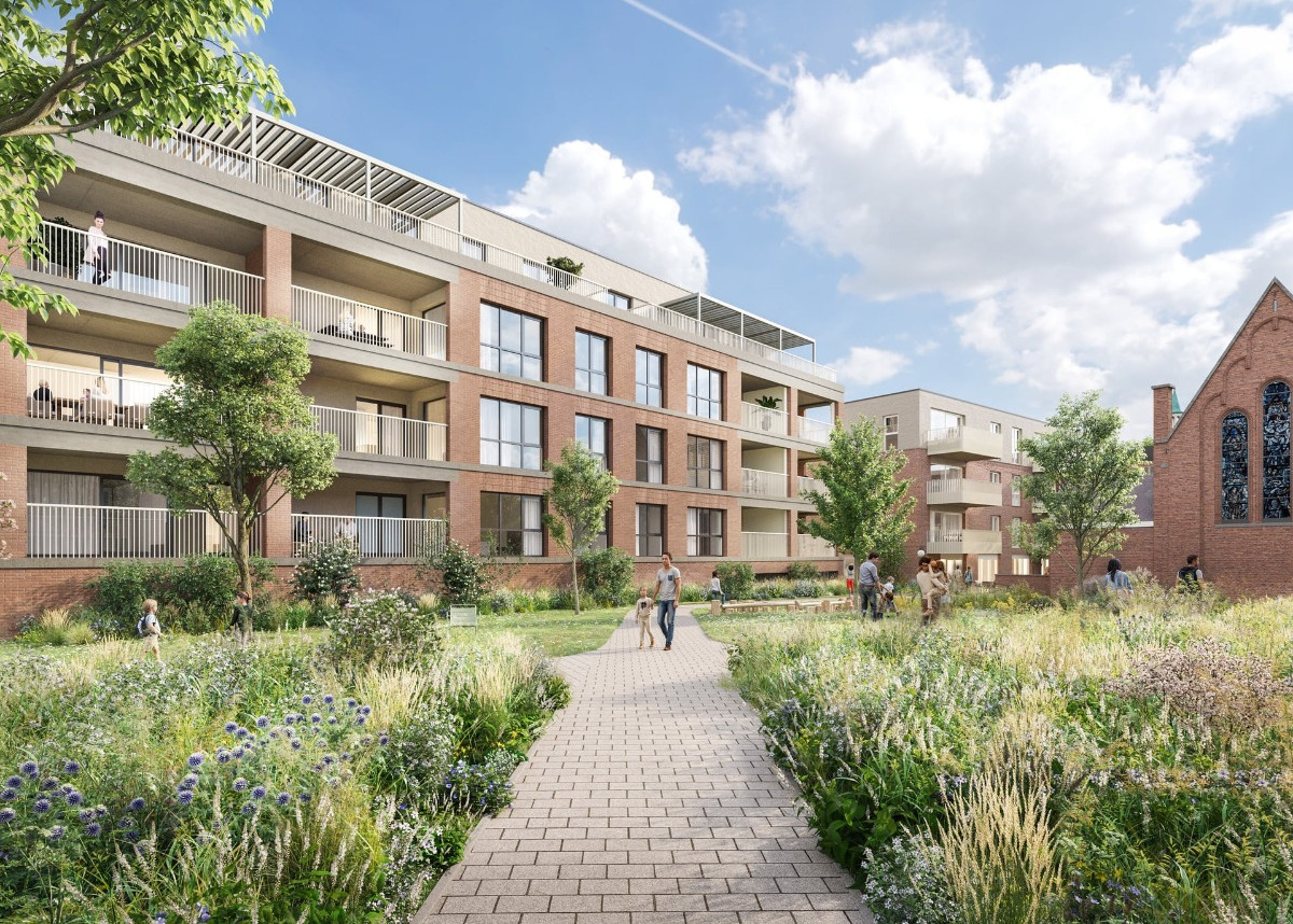 P3252 O 2025.11.17.jpg