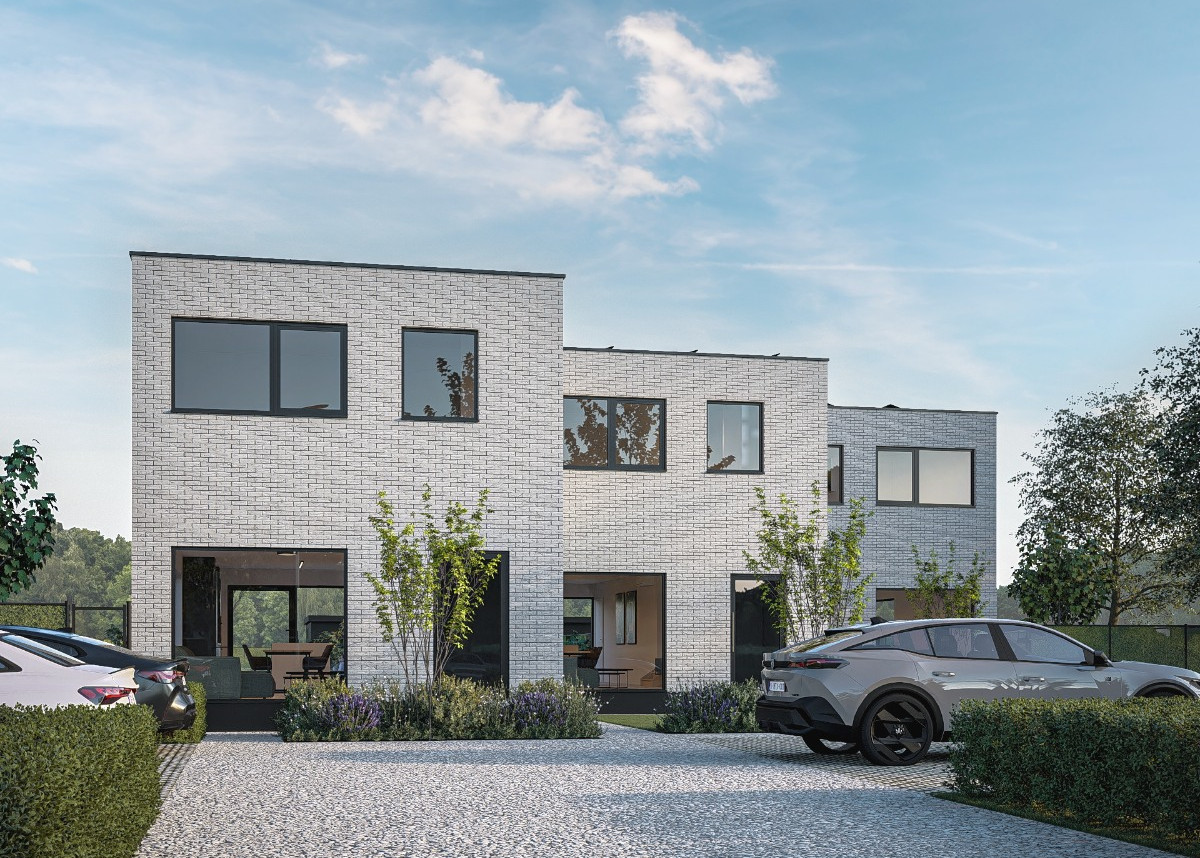 Dendermonde - Hamsesteenweg - 4.jpg