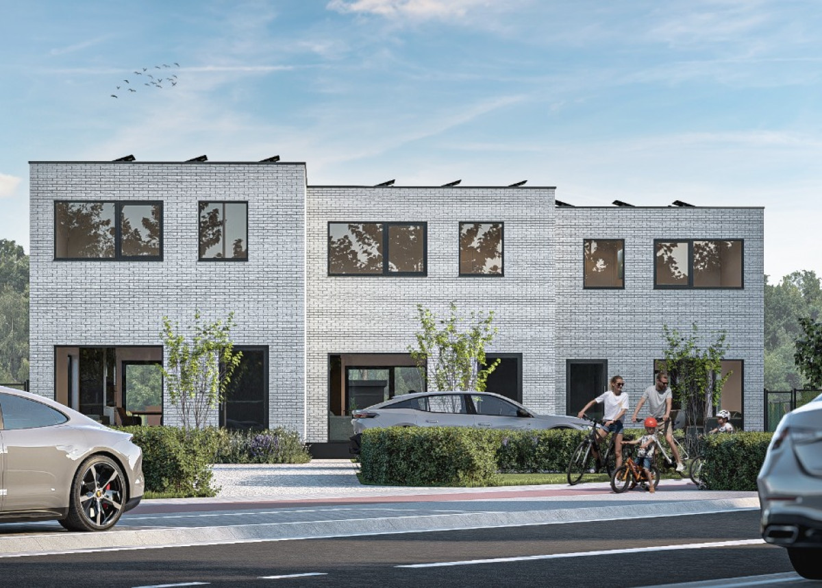 Dendermonde - Hamsesteenweg - 3.jpg