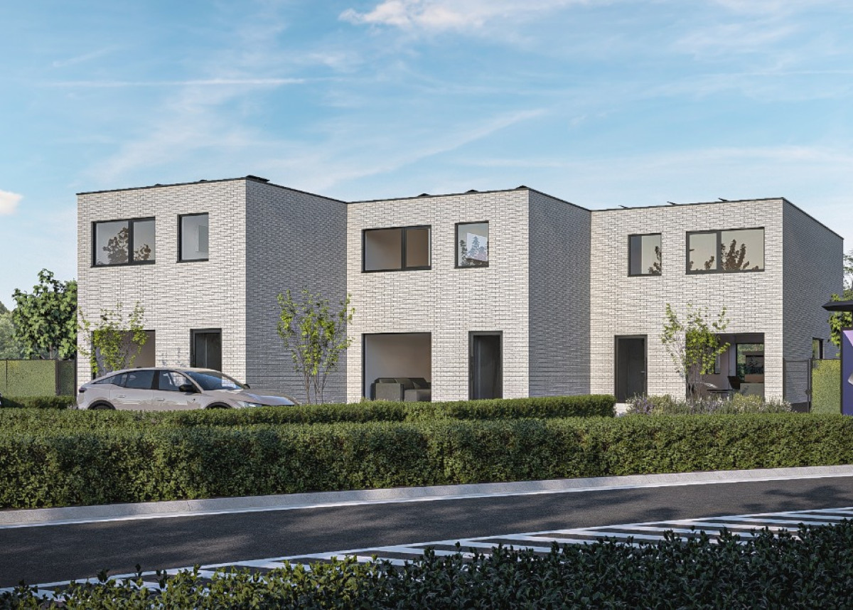 Dendermonde - Hamsesteenweg - 1.jpg