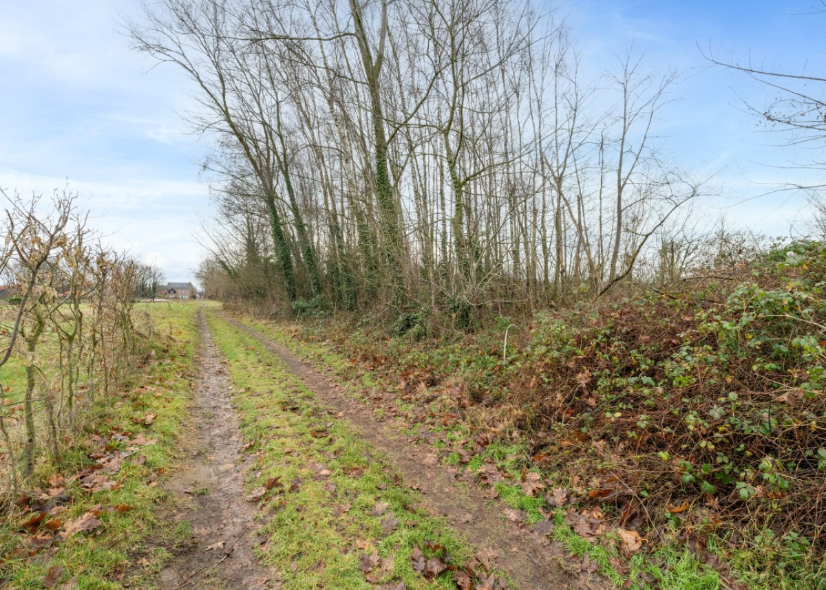 20260112 - KG - Sint-Amandsesteenweg 377F, 2880 Bornem - 10.jpg