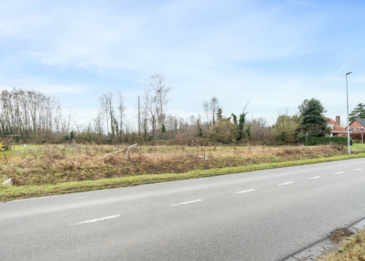 20260112 - KG - Sint-Amandsesteenweg 377F, 2880 Bornem - 2.jpg