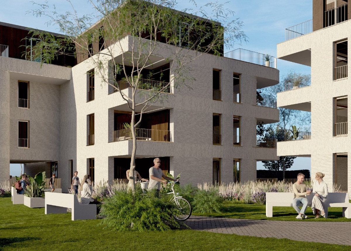 Nova Zembla V3_8 - Photo.jpg