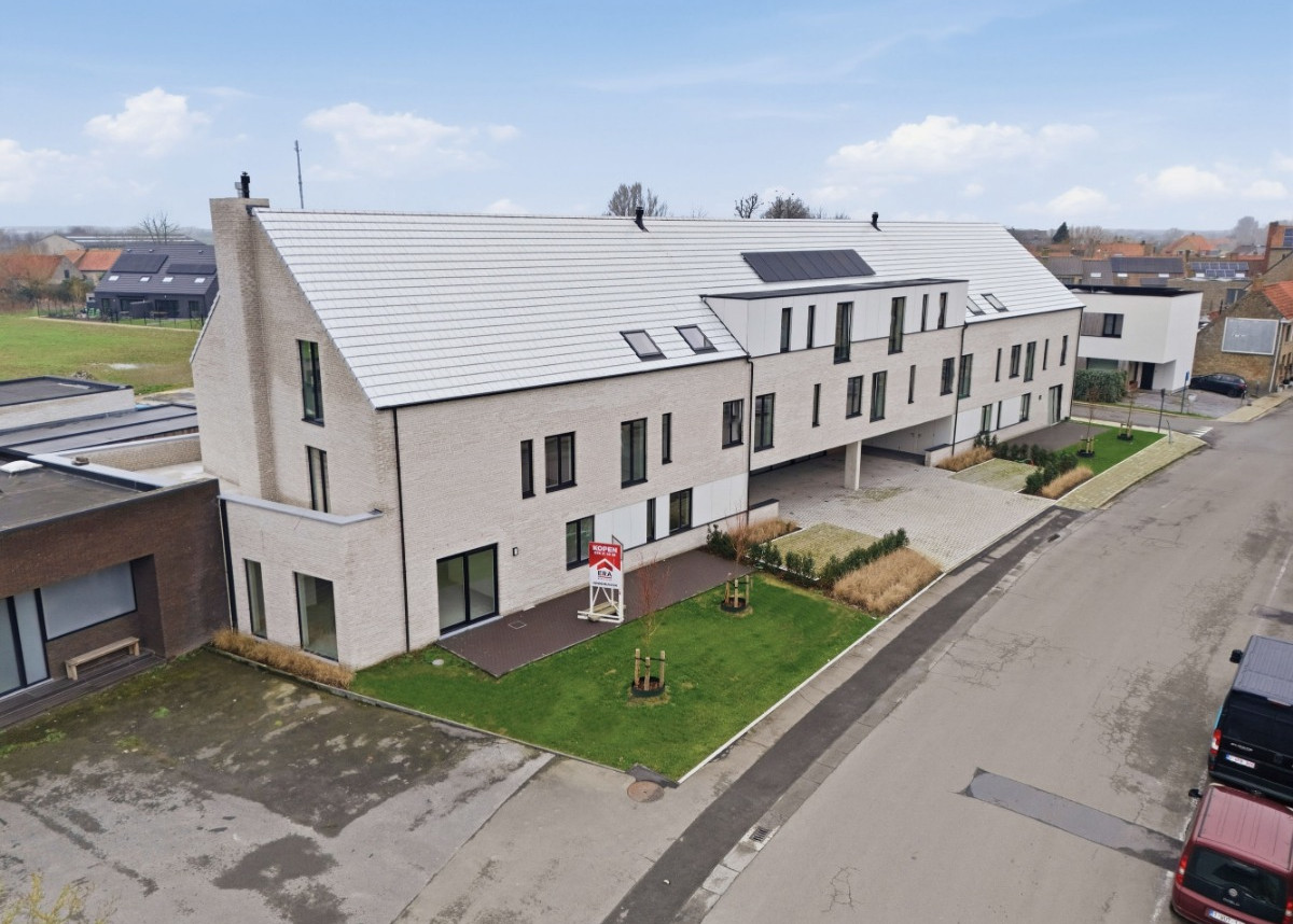 Shotbykartell-32 - 17-02-2026 10-34-51.jpeg