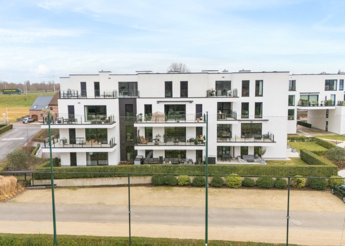 20260210 - RM - Schaafstraat 21, 2870 Puurs-Sint-Amands - 4.jpg