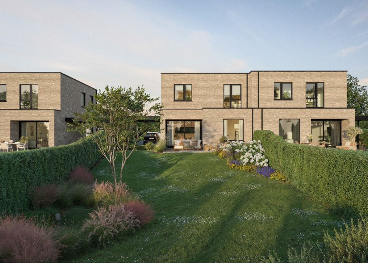 Norelle_Bornem (4).jpg