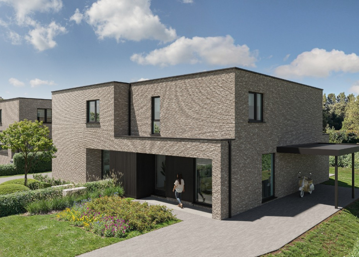 Norelle_Bornem (2).jpg