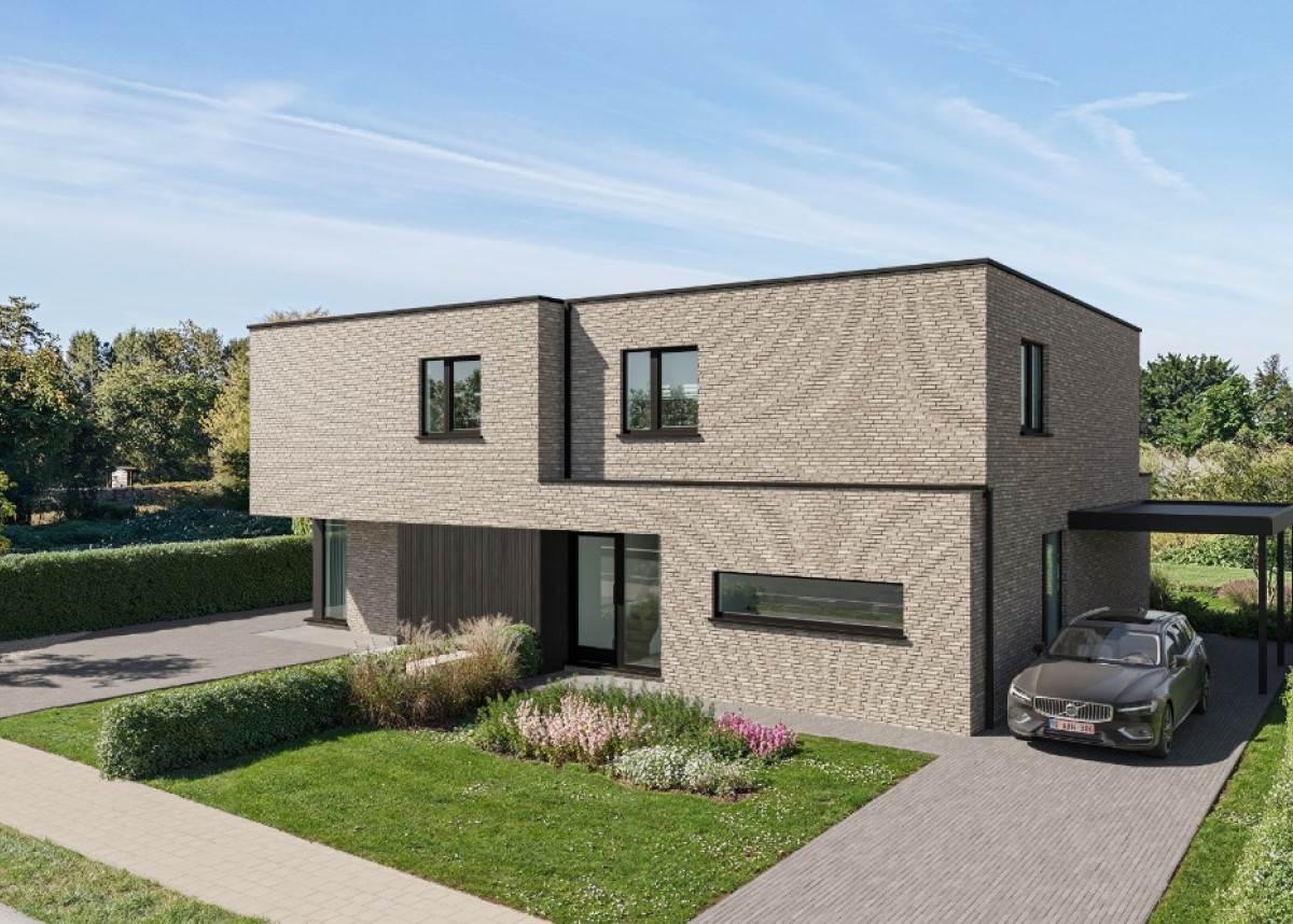 Norelle_Bornem (1).jpg