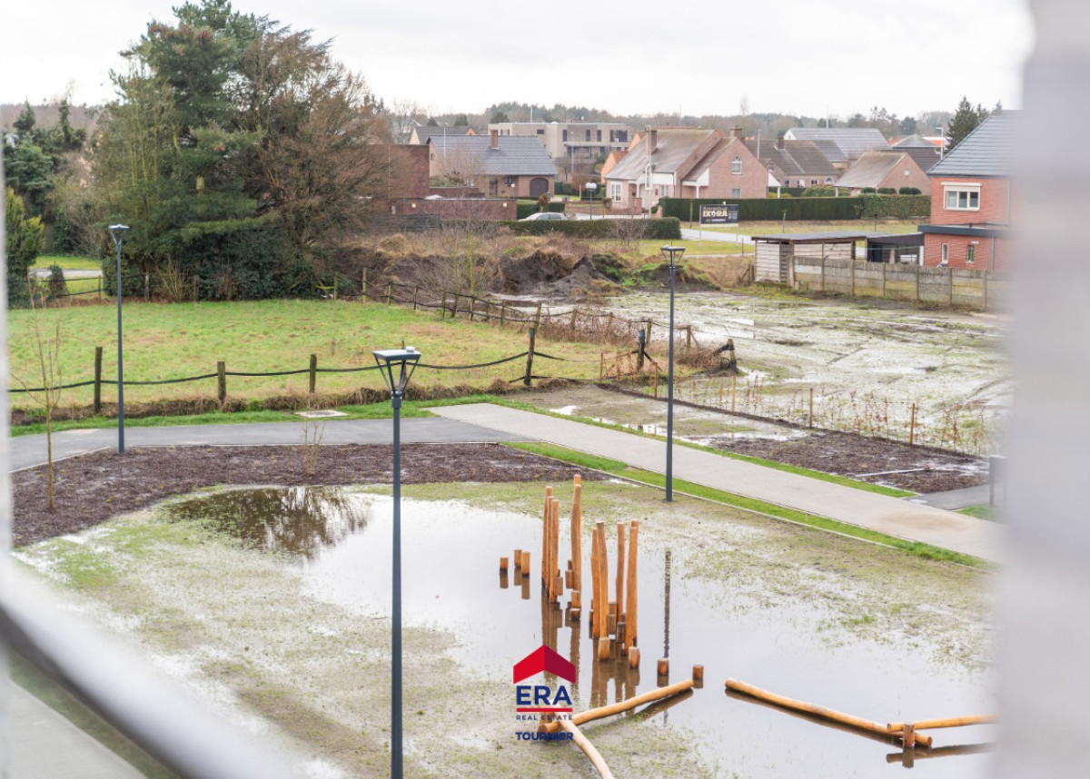 20260217 - RM - Admiraliteit zn, 3920 Lommel - 18.jpg