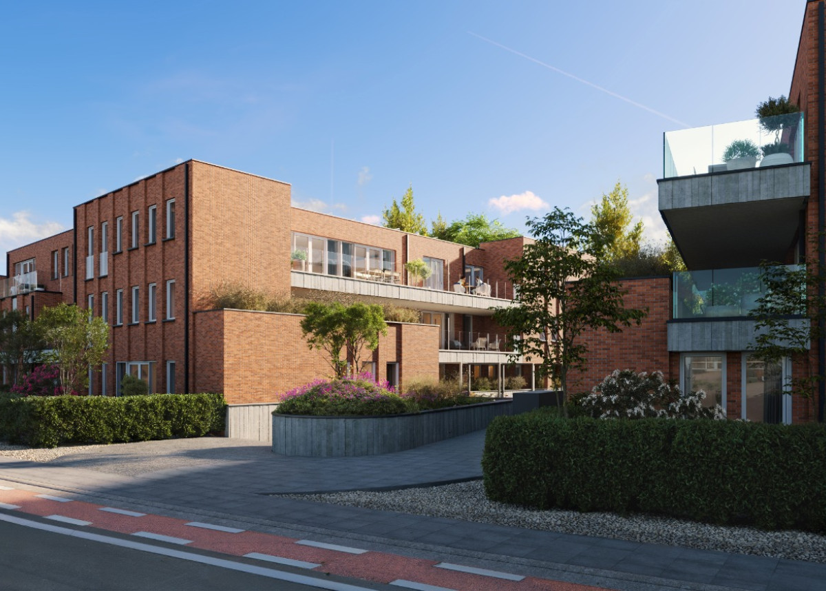 Firlefijn (6) (bewerkt).jpg