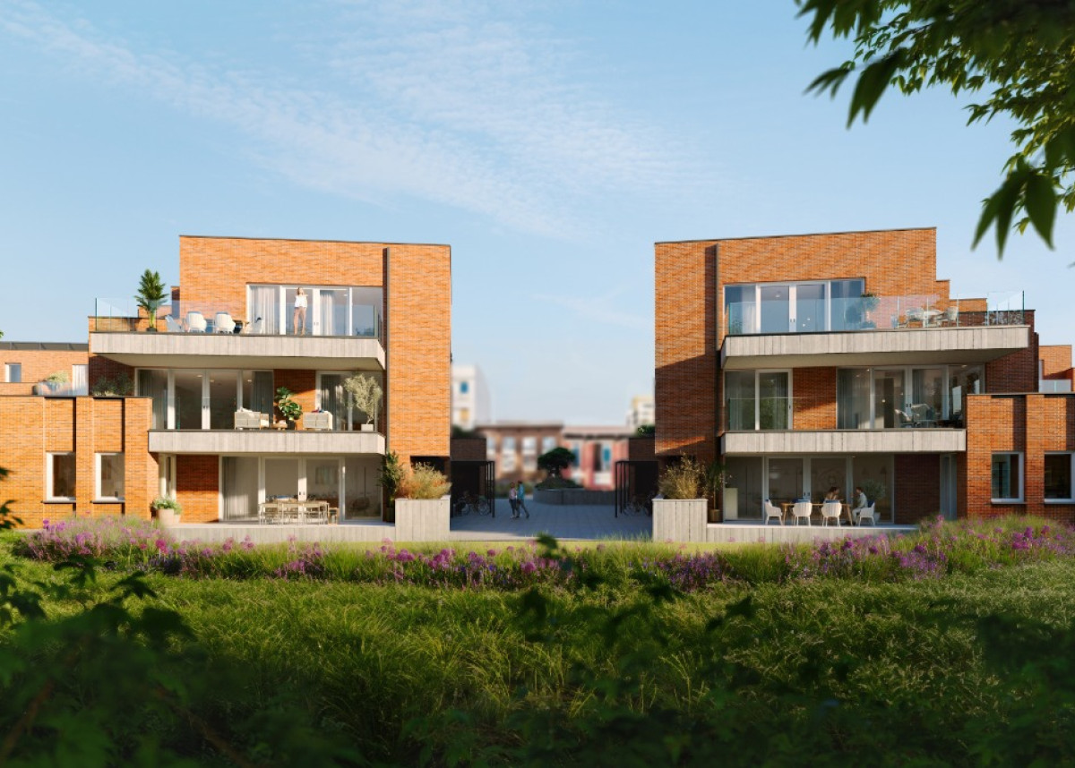Firlefijn (2) (bewerkt).jpg