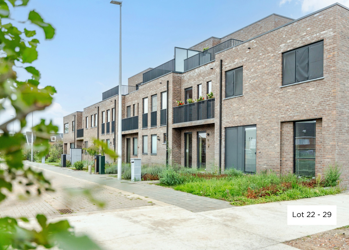 20260925 - OVH - Vijgenstraat 14, 9160 Lokeren - 3.jpg