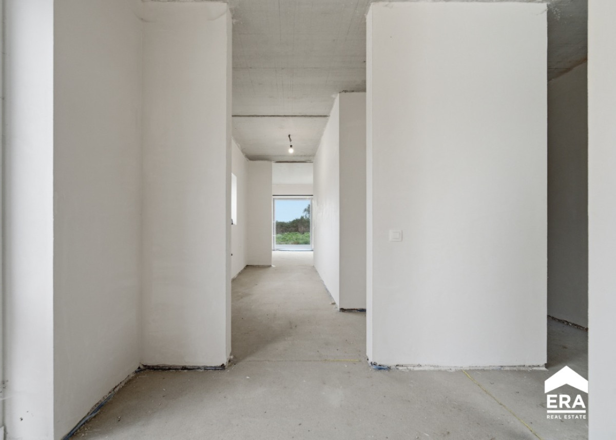 Shotbykartell-1.jpg