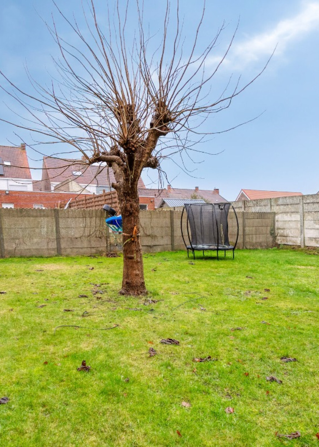 Opstalstraat - 8 - - 8792