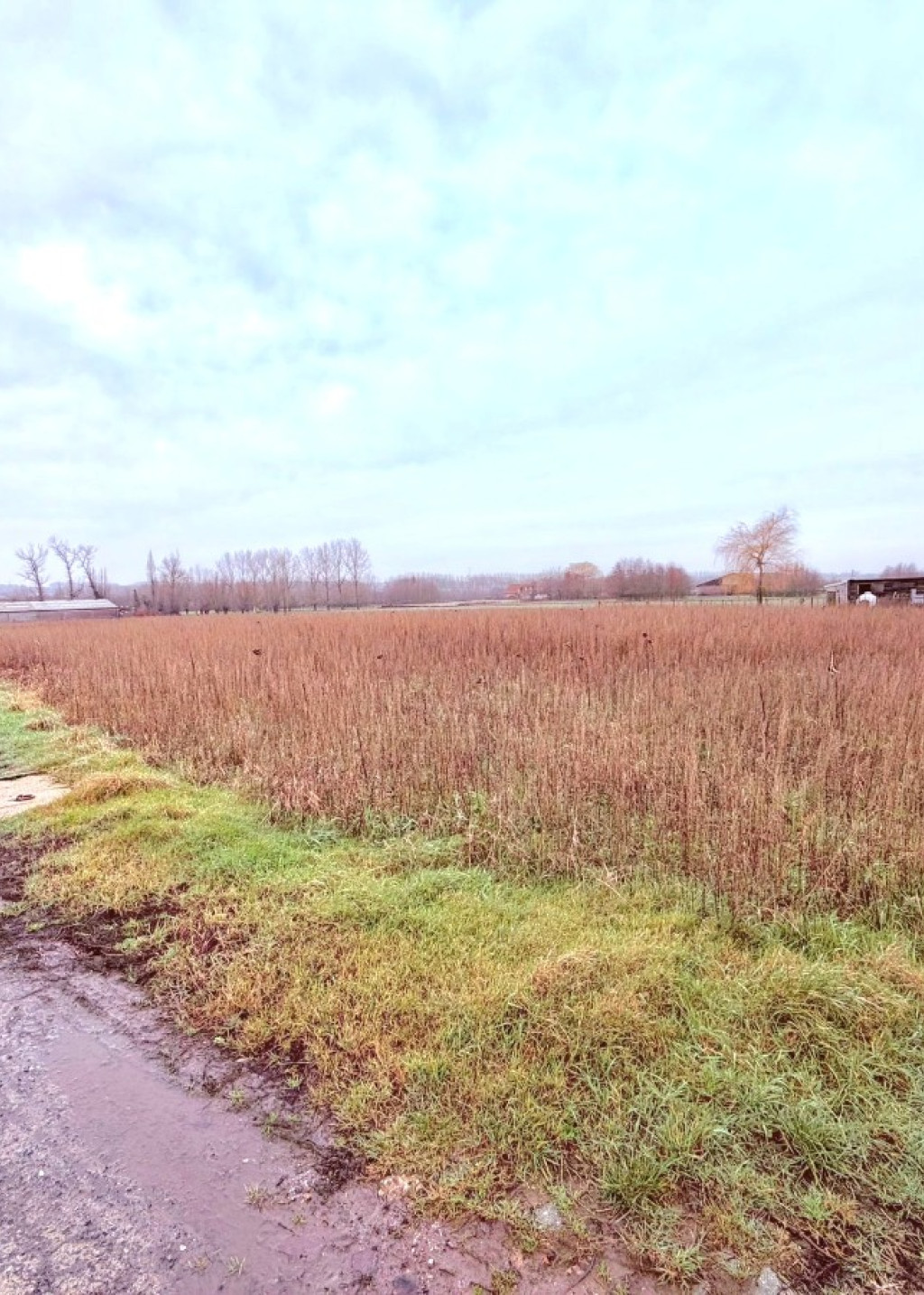 Haezeweidestraat - 11 - - 8920