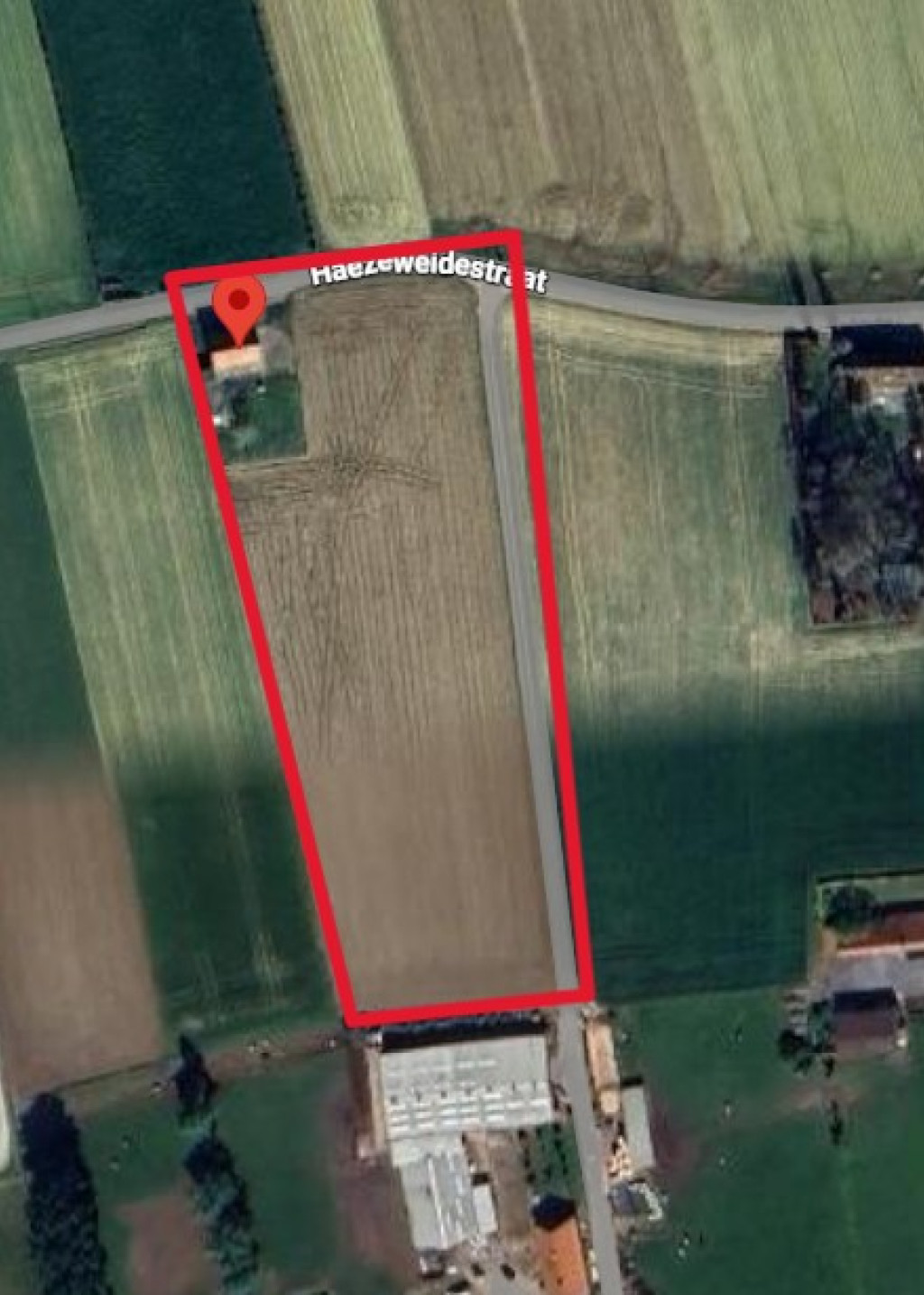 Haezeweidestraat - 11 - - 8920